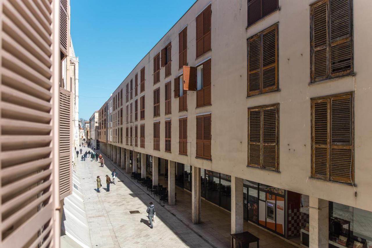 The Perfect Zadar